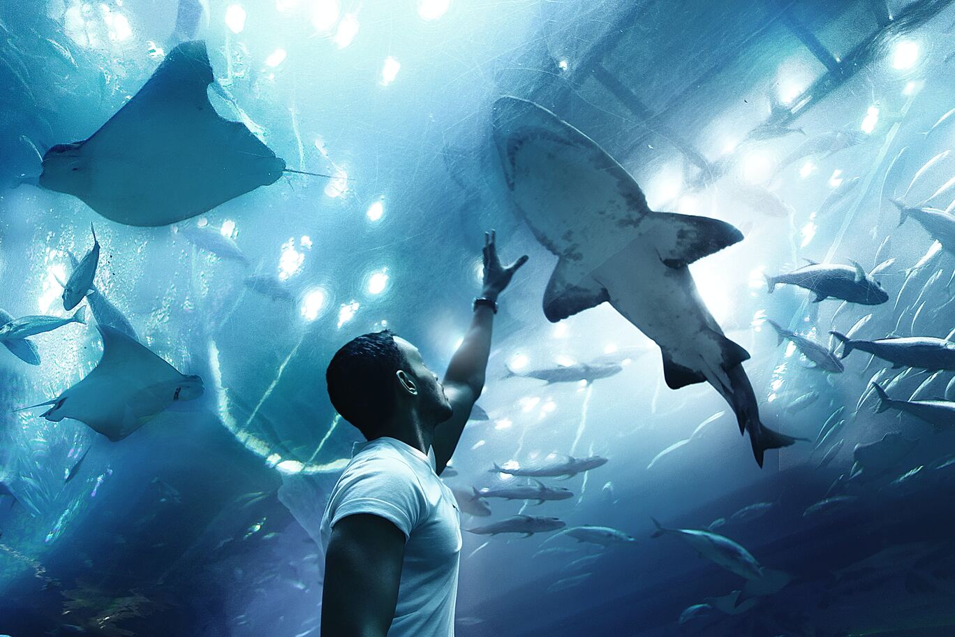 Dubai Aquarium